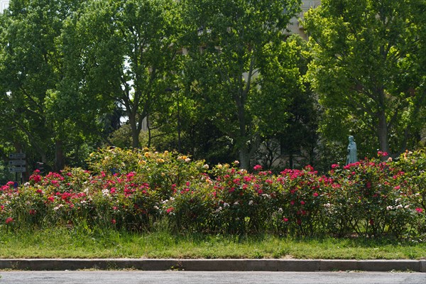 Paris starts re-opening from lockdown, May 2020