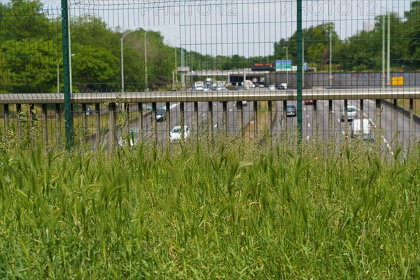 Paris, la semaine du déconfinement, mai 2020