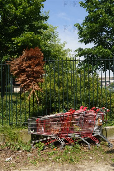 Paris, la semaine du déconfinement, mai 2020