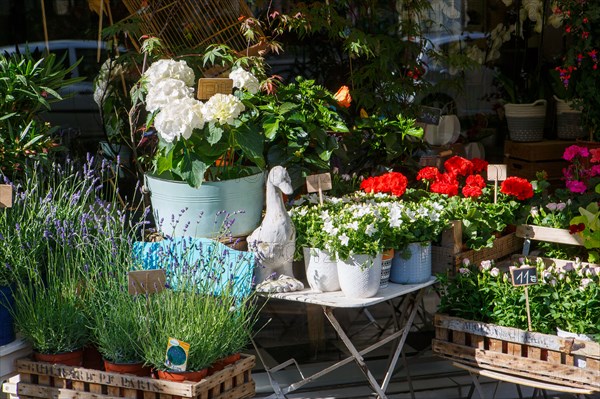 Paris, flower shop on rue d'Alésia