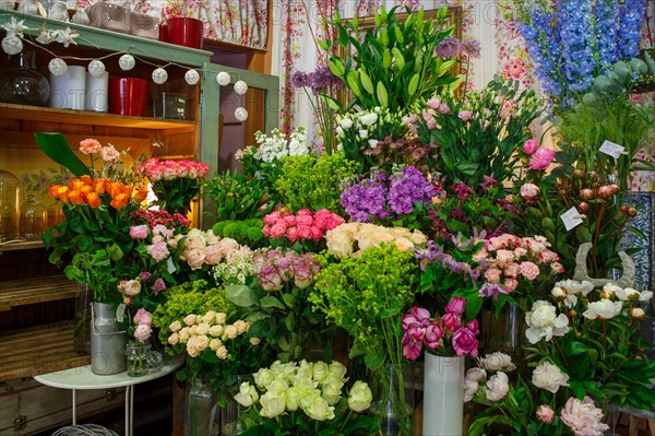 Paris, flower shop on rue d'Alésia