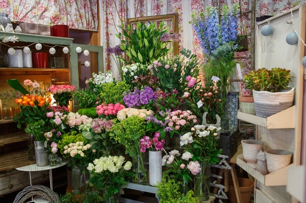 Paris, flower shop on rue d'Alésia