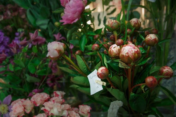 Paris, fleuriste rue d’Alésia