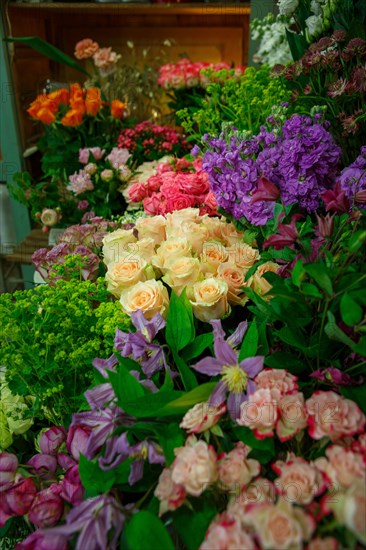 Paris, flower shop on rue d'Alésia