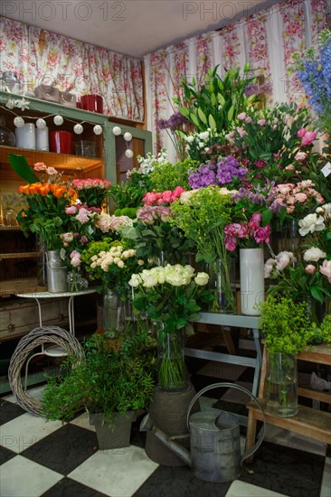 Paris, fleuriste rue d’Alésia