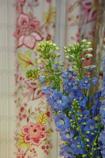 Paris, fleuriste rue d’Alésia