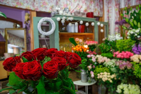 Paris, fleuriste rue d’Alésia