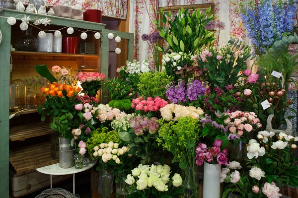 Paris, flower shop on rue d'Alésia