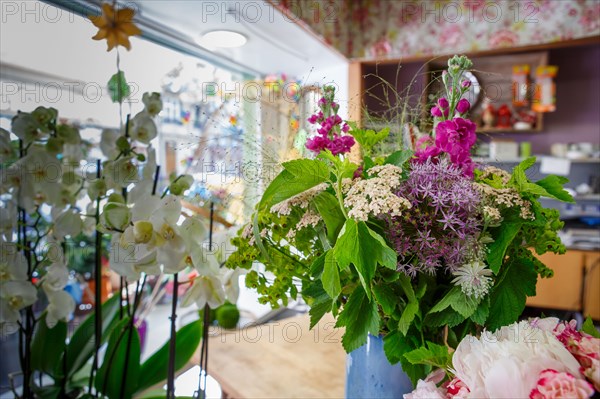 Paris, flower shop on rue d'Alésia