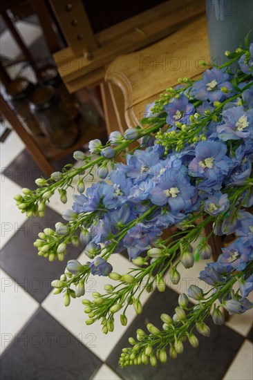 Paris, fleuriste rue d’Alésia