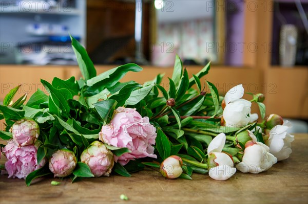 Paris, fleuriste rue d’Alésia