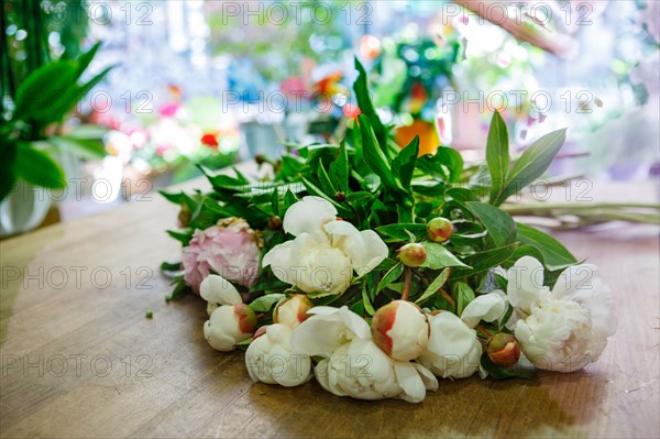 Paris, flower shop on rue d'Alésia