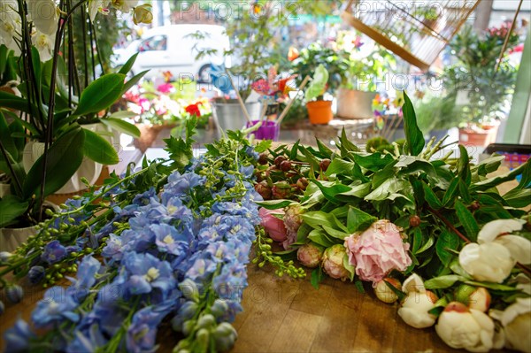 Paris, fleuriste rue d’Alésia