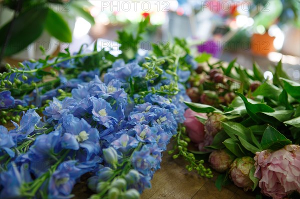 Paris, fleuriste rue d’Alésia