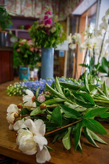 Paris, fleuriste rue d’Alésia