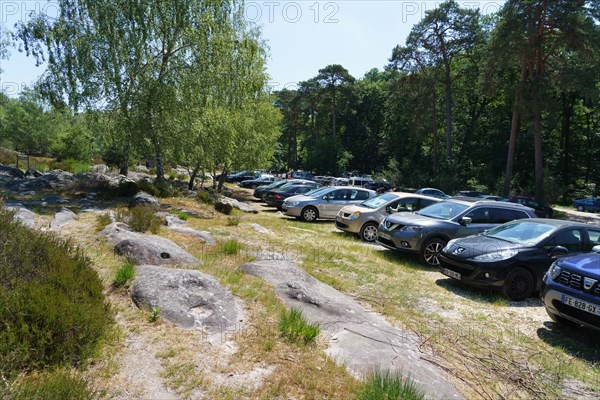 Forêt de Fontainebleau