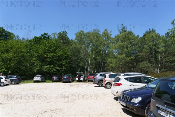 Forest of Fontainebleau