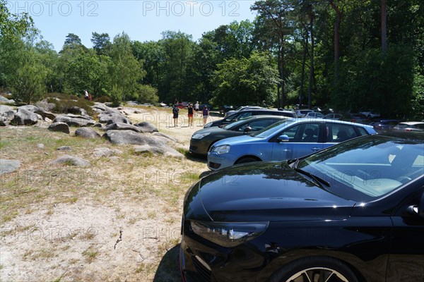 Forest of Fontainebleau