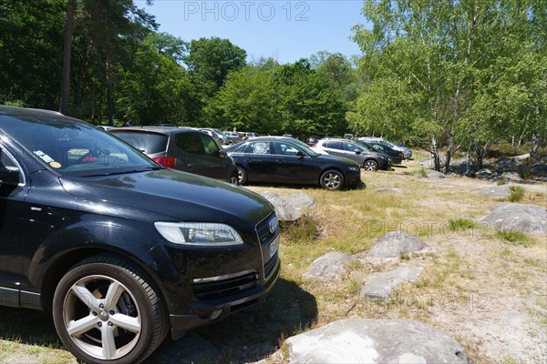 Forêt de Fontainebleau