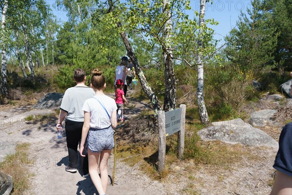 Forest of Fontainebleau