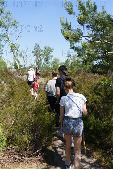 Forêt de Fontainebleau