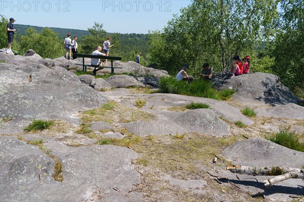 Forêt de Fontainebleau