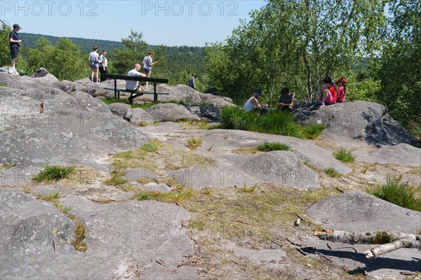 Forêt de Fontainebleau