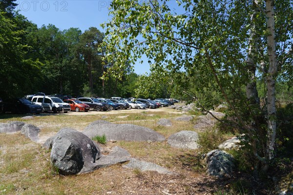 Forêt de Fontainebleau