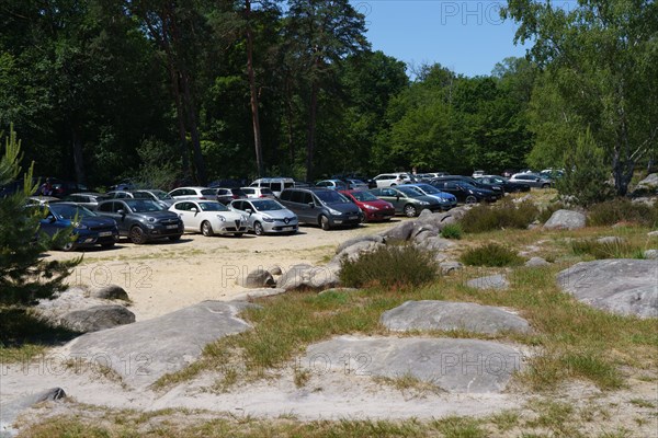 Forêt de Fontainebleau