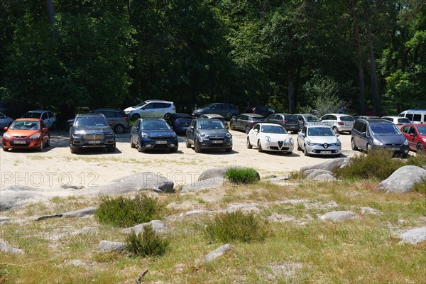 Forêt de Fontainebleau