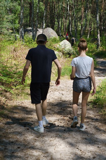 Forest of Fontainebleau