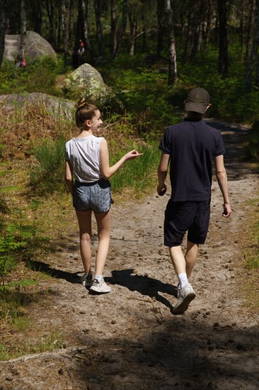 Forêt de Fontainebleau