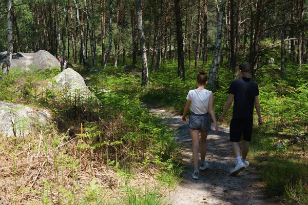 Forêt de Fontainebleau