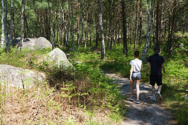 Forest of Fontainebleau