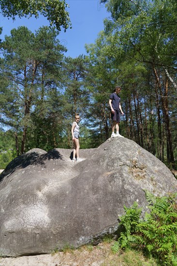 Forêt de Fontainebleau