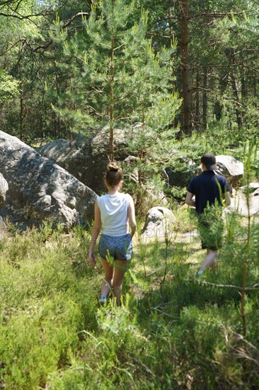 Forest of Fontainebleau