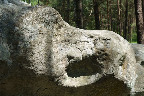 Forêt de Fontainebleau