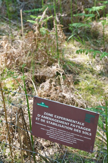 Forêt de Fontainebleau