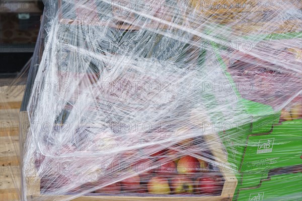 Paris, crate with apples covered with a cellophane