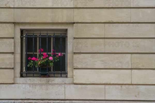 Paris, rue de la Pompe