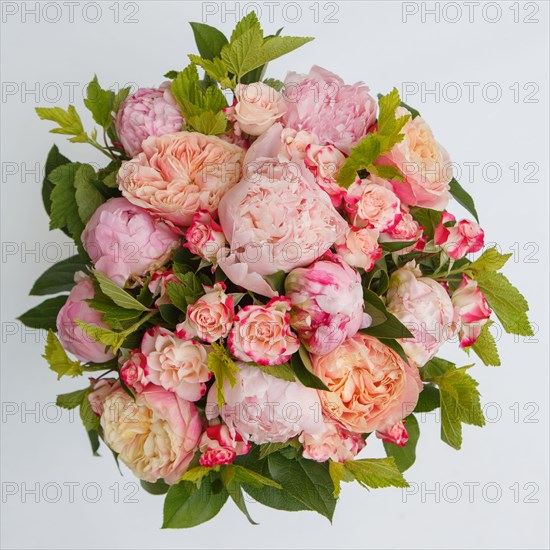 Paris, flower shop on rue d'Alésia