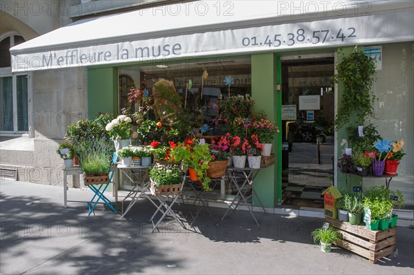 Paris, flower shop on rue d'Alésia