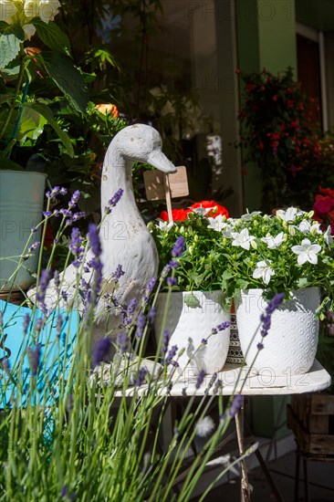 Paris, flower shop on rue d'Alésia