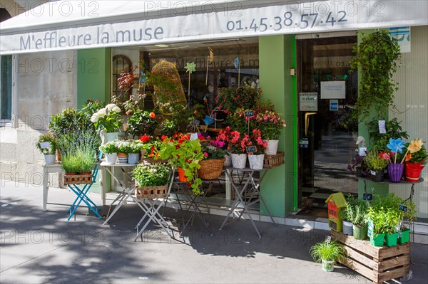 Paris, flower shop on rue d'Alésia