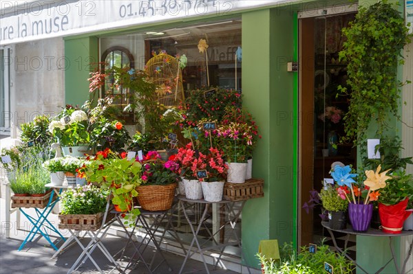 Paris, flower shop on rue d'Alésia