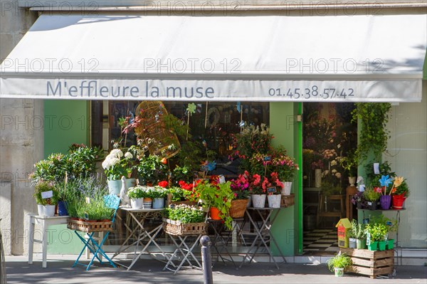 Paris, flower shop on rue d'Alésia