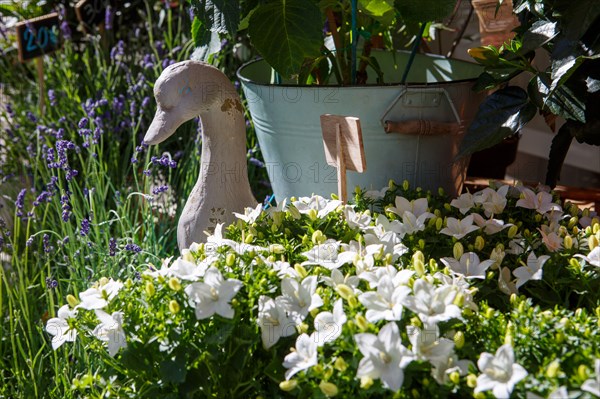 Paris, fleuriste rue d’Alésia