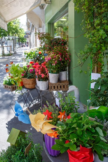 Paris, flower shop on rue d'Alésia