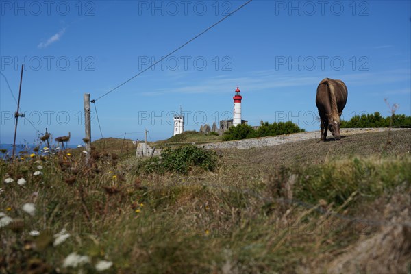 Pointe Saint-Mathieu, Finistère nord