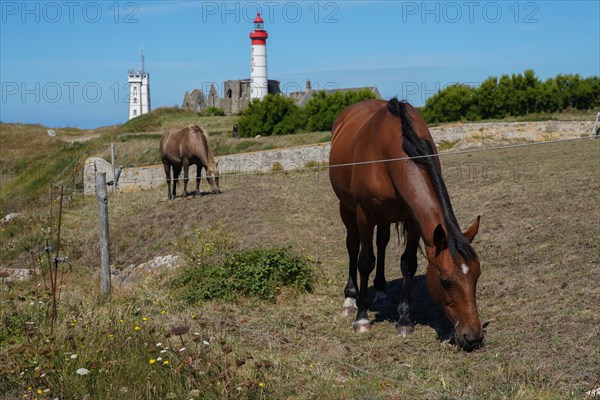 Pointe Saint-Mathieu, North tip of Finistère